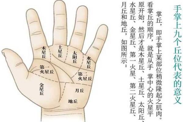 手相占卜秘籍：童女运势、爱情一览无遗
