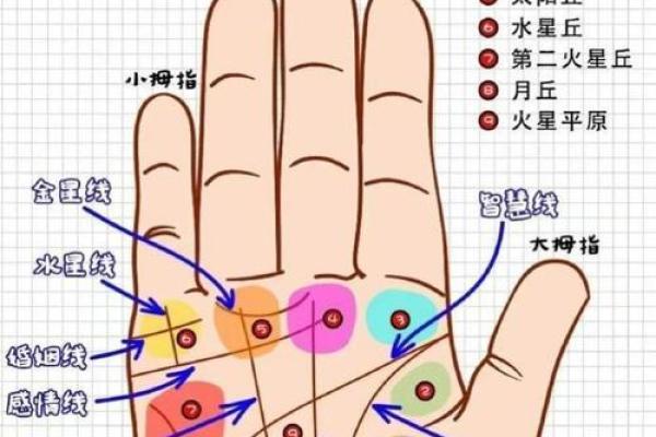 手上的人生图谱：经典手相学入门必备指南