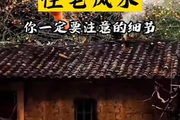 家居风水揭秘：男人必知的五大旺家法则