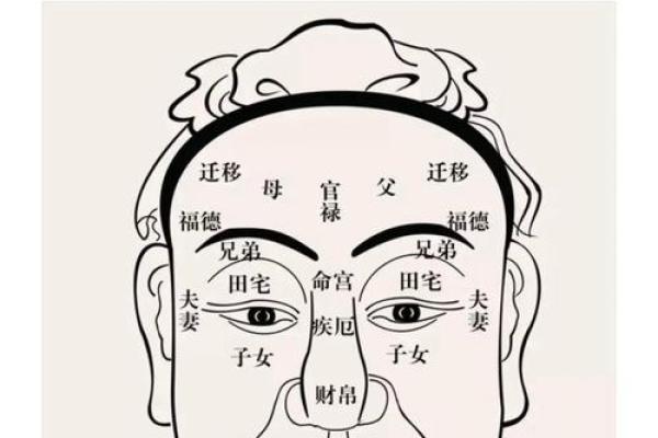 面相解析：揭秘长脸面相中的小气特质