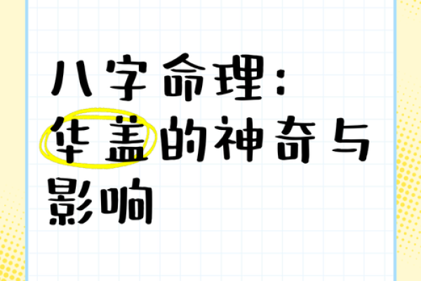 命理断寿：一算便知你的一生，快来体验神奇的命理预测！
