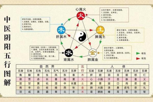 金木相克：地支合冲的神秘力量