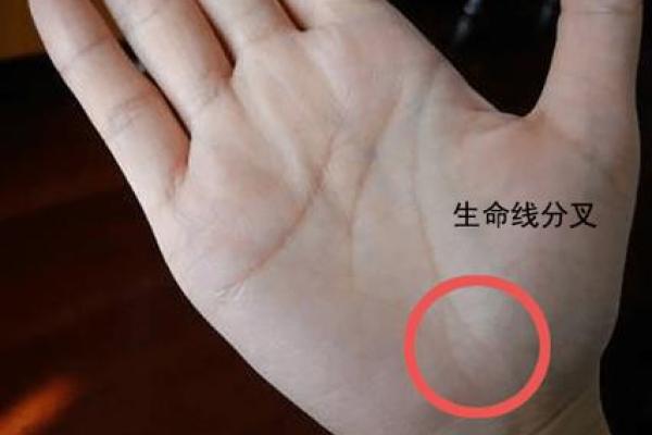 手相纹路与健康密不可分，一看便知身体状况