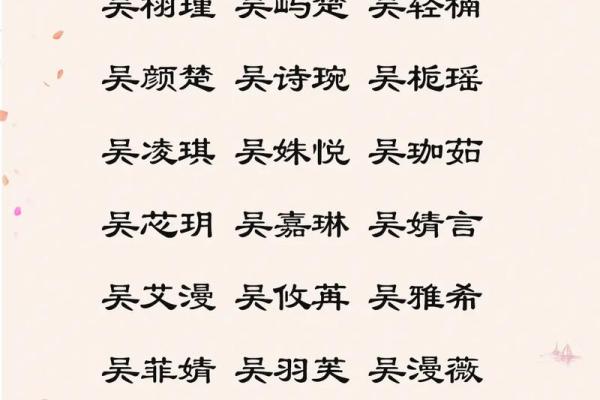 吴氏宝宝起名精选