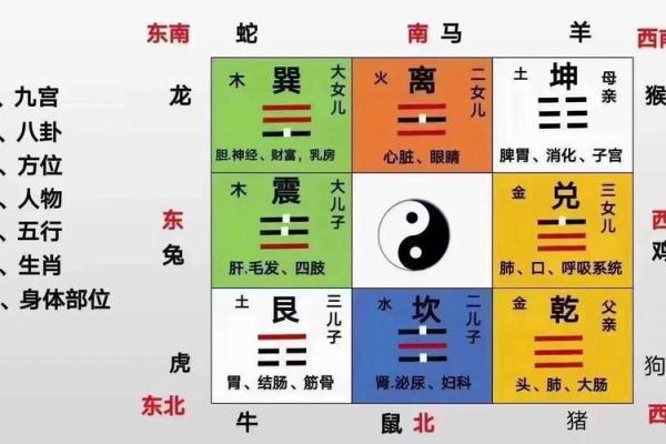 风水大师亲授：家居布局宝典，教你打造吉星高照的幸福家