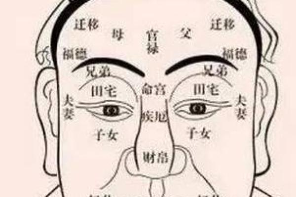 面相解码：嘴大有魄力者的独特魅力