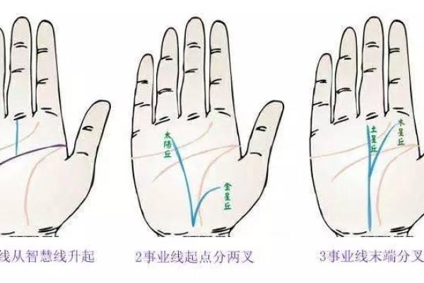 手中事业线，掌握未来命运的秘密！