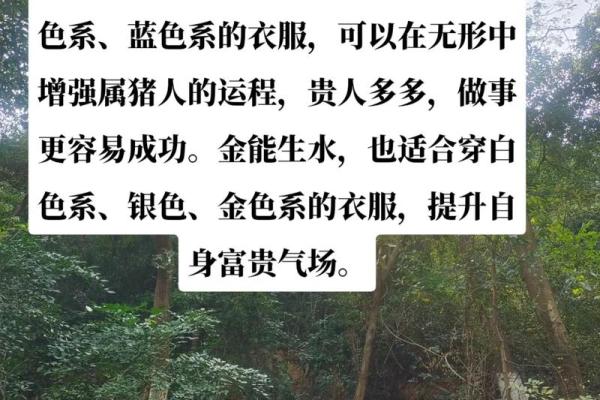猪年宝宝命名：巧用五行与生肖寓意