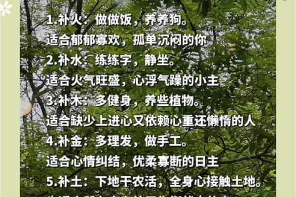 五行木的能量与生长力量分析