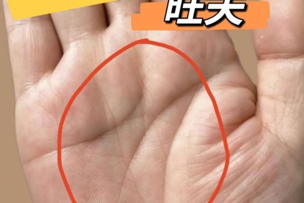 掌中藏金：揭秘手相纹路中的财富密码