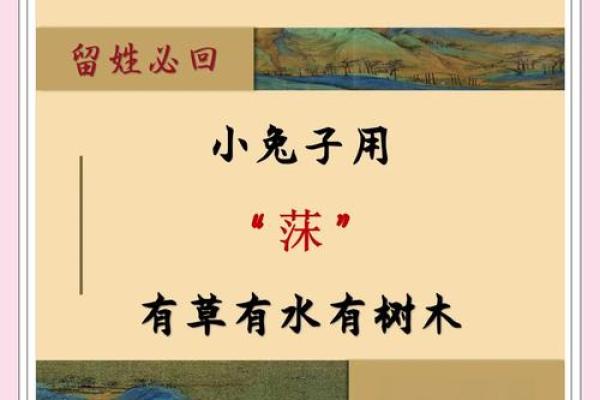 喜木宝宝：寓意生机勃勃的名字选择