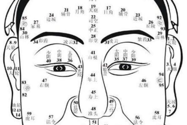 蒜头鼻背后的秘密：揭开你的财富运势密码！