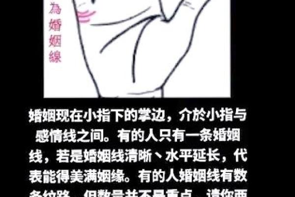 解锁女人手相密码：全面揭秘手掌上的秘密