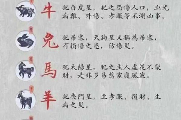 祈字的五行到底属什么