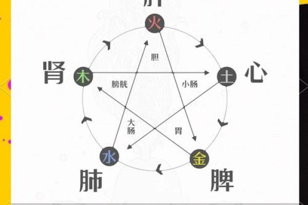 五行与人体健康的关系探讨