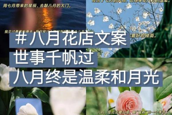 炎炎夏日，八月节庆亮点抢先看