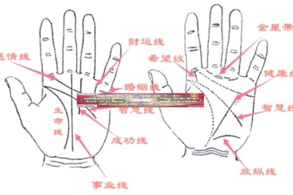 爱情运势揭秘：异性缘爆棚的手相密码