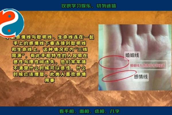 爱情运势揭秘：异性缘爆棚的手相密码