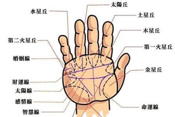 断掌手相图解秘籍：破解命运密码，揭秘你的运势！
