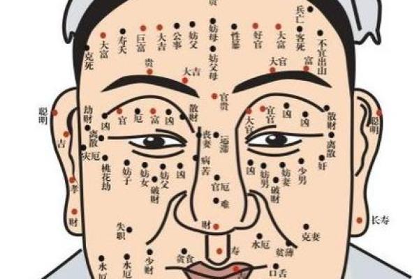 面相痣相宝典：一图掌握运势与性格的秘密