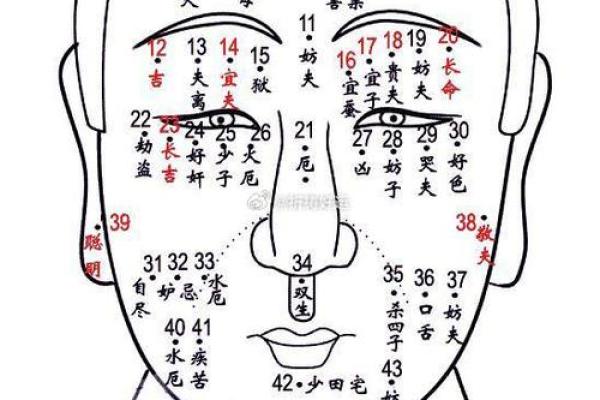 面相痣相宝典：一图掌握运势与性格的秘密