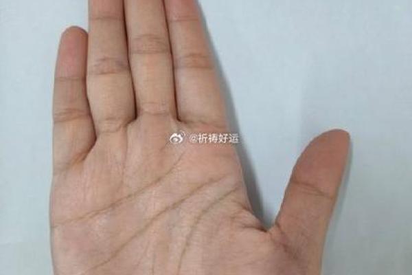 掌中乾坤：手相面相教你识人辨运