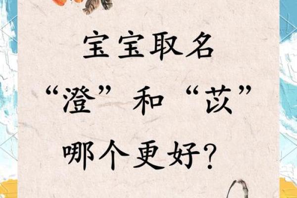 豆豆宝宝取名大比拼