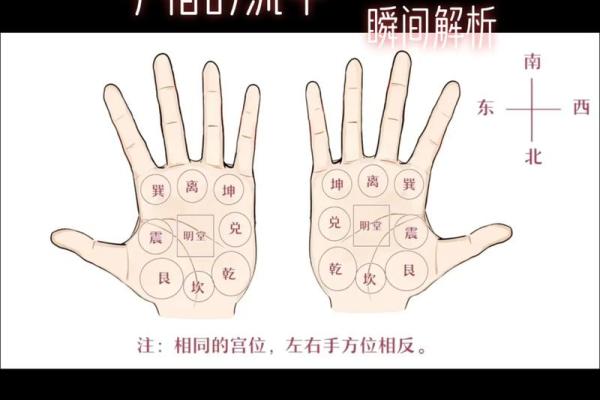 短指奥秘：揭秘小拇指粗短的独特魅力