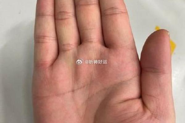 翻手为云覆手雨：亿万富翁手相大揭秘