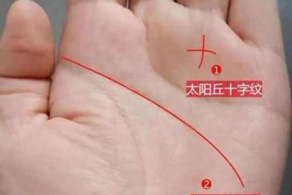 手相中的贵人运势：一招掌握财富与成功的秘诀