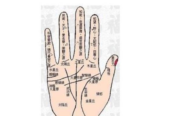手相中的贵人运势：一招掌握财富与成功的秘诀
