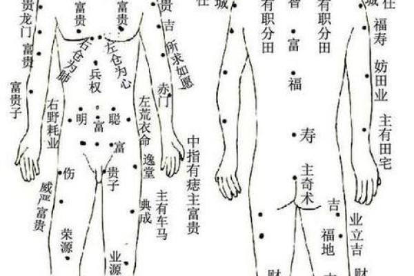 会阴痣：神秘相学中的秘密，揭秘你的运势和性格