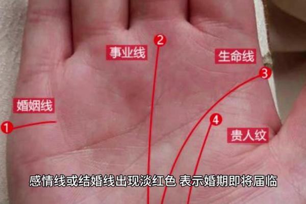 手相靠谱吗？权威专家为你揭秘真相！