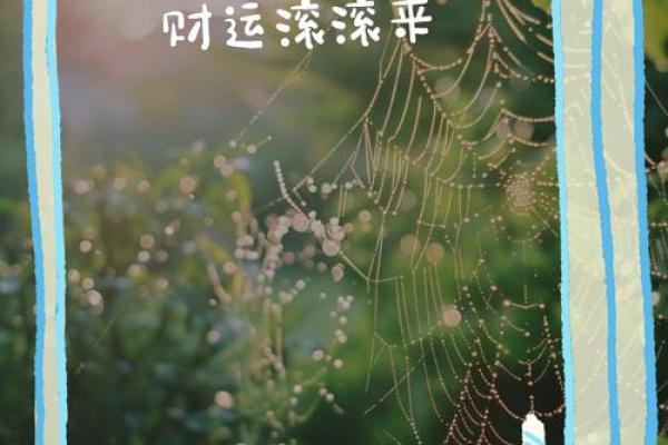藏财地支大揭秘，财富密码尽在其中