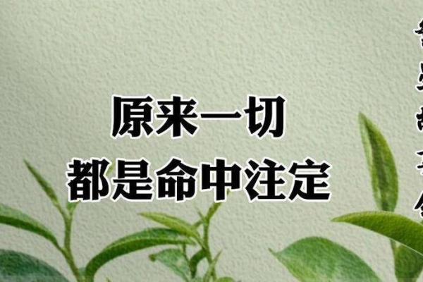 面相决定命运，努力成就辉煌：你的命运掌握在你手中！