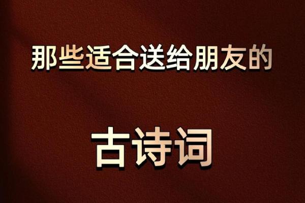 梦回古道，欢歌笑语共度民族佳节
