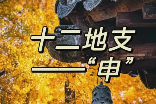 未酉相生：探寻地支间的不解之谜