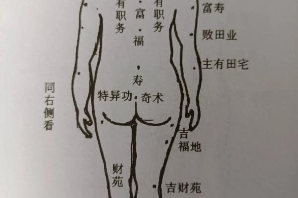 面相解析：长痣部位的运势与性格揭示