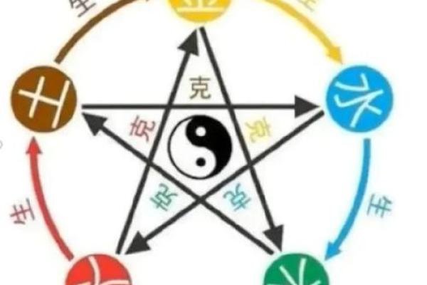 轩的五行属性解析