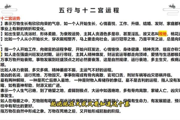 轩的五行属性解析