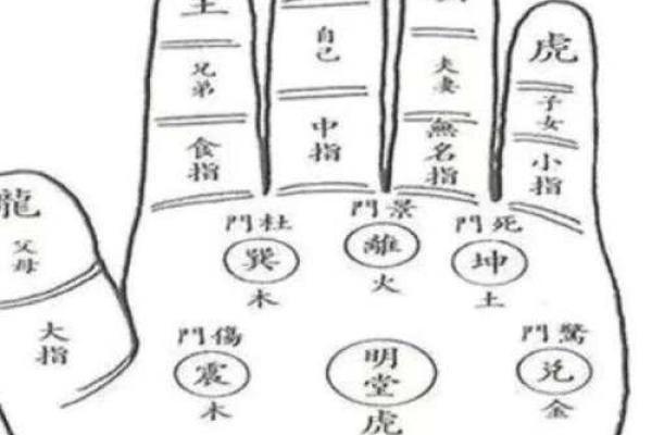 离位之谜：手相解读你的未来轨迹