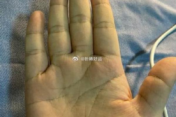 离位之谜：手相解读你的未来轨迹