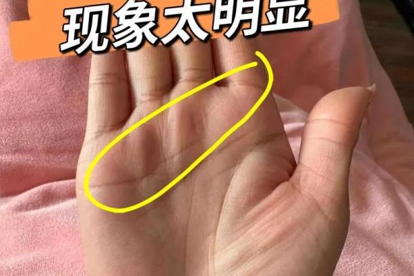 爆款揭秘！小s手相透露的秘密，让你财运亨通！