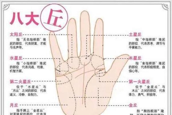 爆款揭秘！小s手相透露的秘密，让你财运亨通！