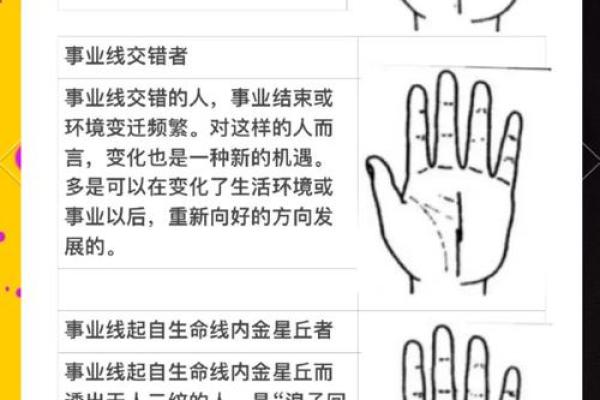 手中命运线，揭秘人生起伏密码