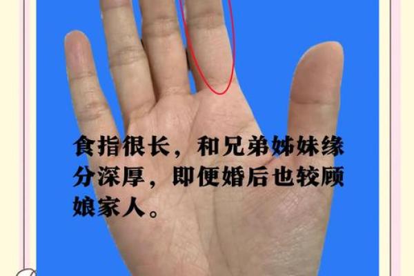 手中命运线，揭秘人生起伏密码