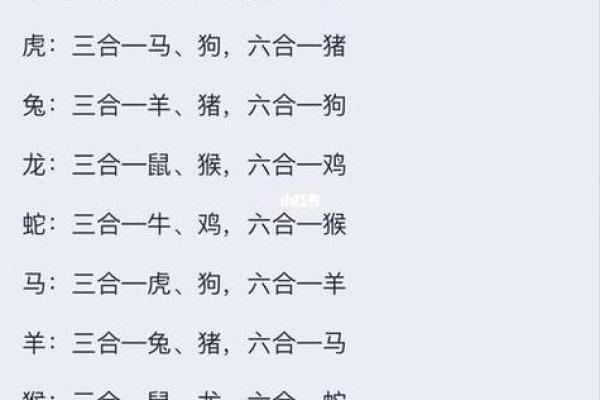 如何根据生辰八字选择合适的婚配属相