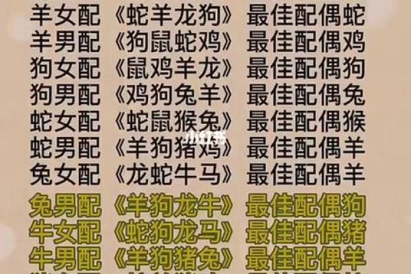 解读属兔人的生辰八字秘密
