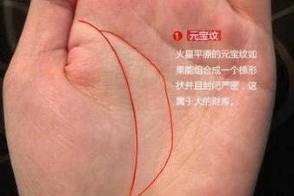 手相密码：揭秘女性命运子女线的神奇图解