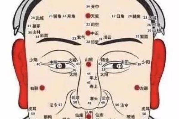 面相痣相揭秘：运势吉凶尽在一瞥！